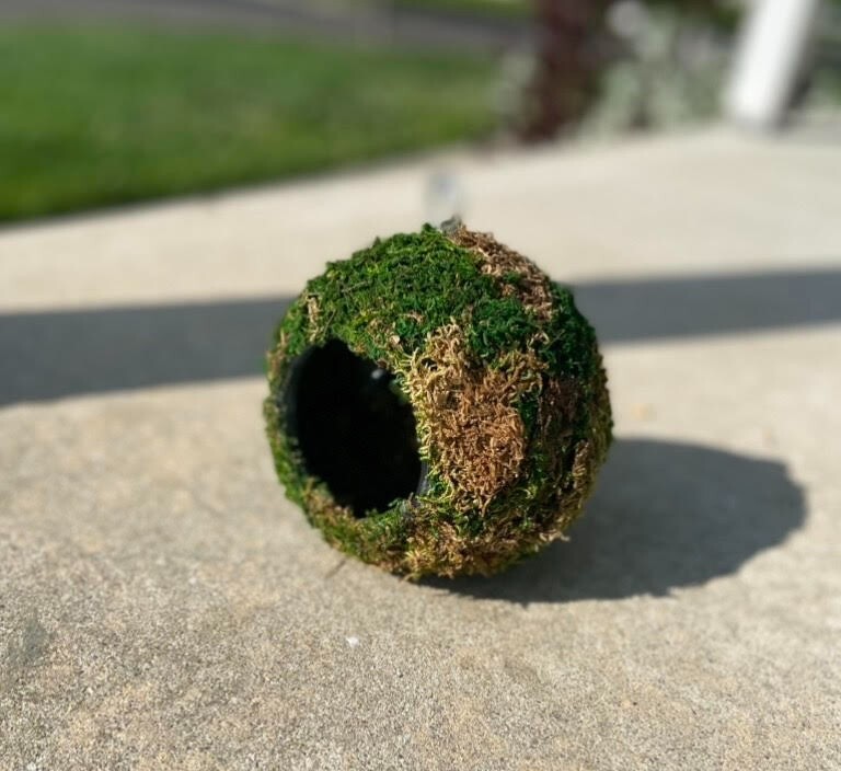 Moss Ball Reptile Hide 4.5