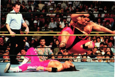 Bret Hart vs. Yokozuna WrestleMania IX Photocard 1999 Titan Sports Las Vegas NV