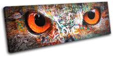 Urban Grunge Owl Eyes Graffiti SINGLE CANVAS WALL ART Picture Print