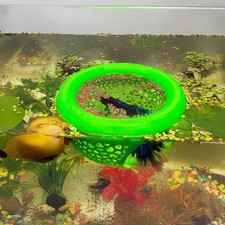 Aquarium Floating Betta Fish Skins, or Shrimp Feeder, Cave and Green