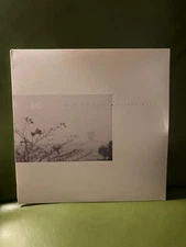 Wild Nothing - Golden Haze Vinyl LP 2010 Indie Rock, Captured Tracks Records EX