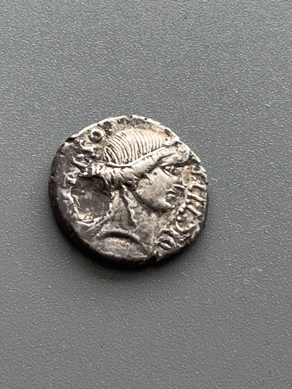 Picture 6 of 6
