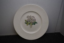 Spodes Mansard Copeland 11" Dinner Plate Floral Primula Flower