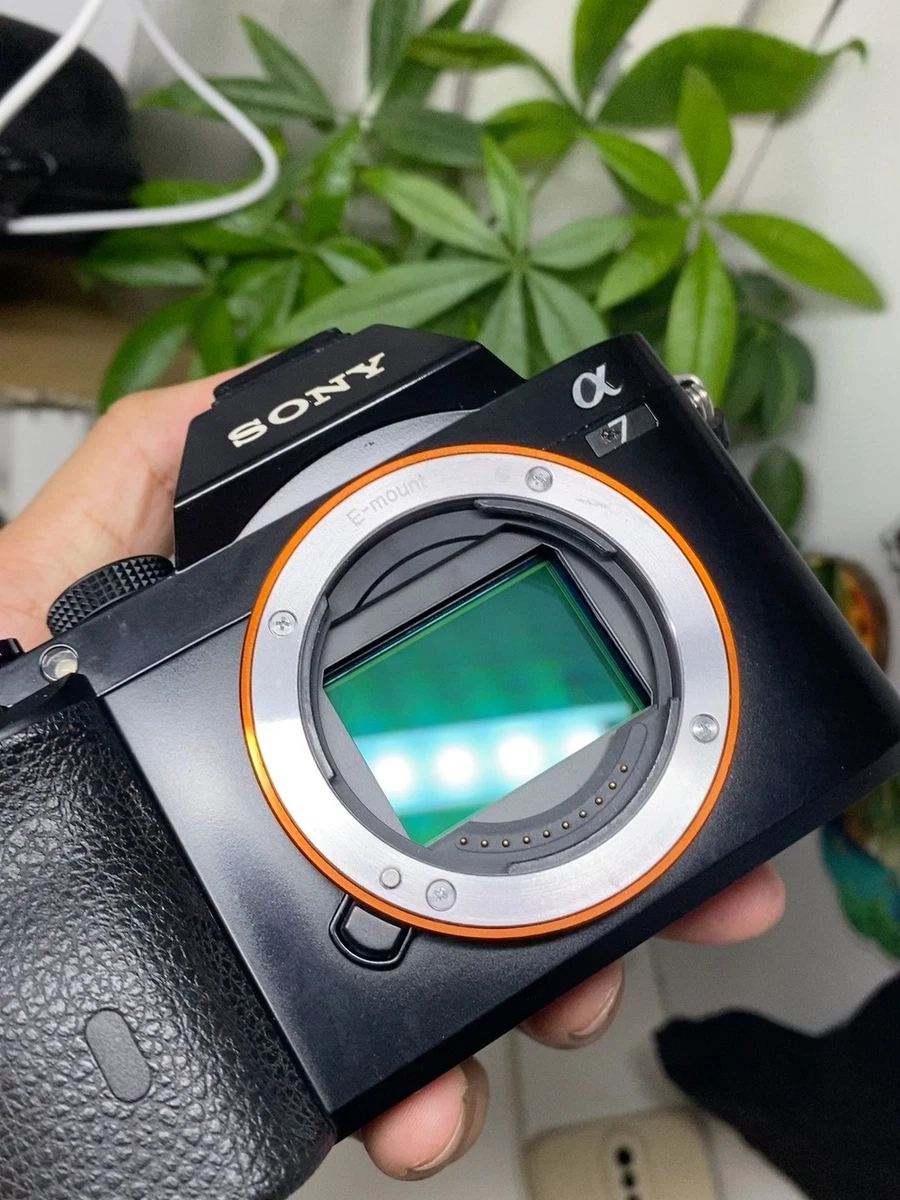 Sony A7 20-29.9MP Digital Cameras for Sale | Shop New & Used