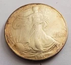 Better Date 1995 American Silver Eagle 1 Troy Oz .999 Fine Silver Gold Tone