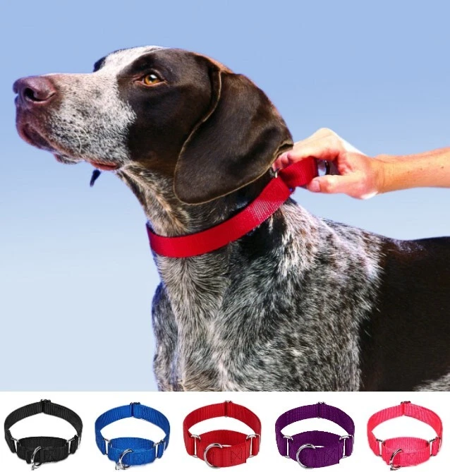 Martingale Big Dog Collar Premium No Choke S M L Nylon No Buckle Training