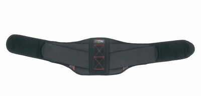 TAJIMA EVA CUSHION WAIST SUPPORTER BELT M SIZE (WAIST SIZE 70～85cm) AW-YRBM