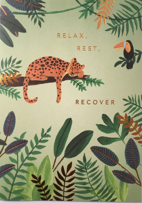 NIQUEA.D- Get Well- Leopard Relaxing In Tree - SRP 6.95- By Creators of Papyrus