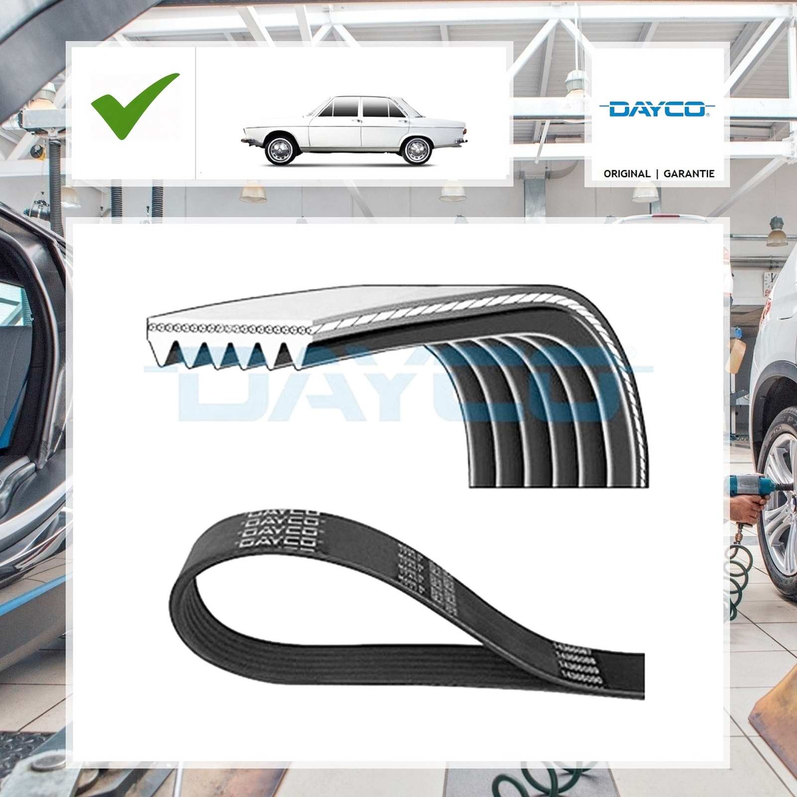 Keilrippenriemen Dayco für BMW 3 Coupe E36 318 is