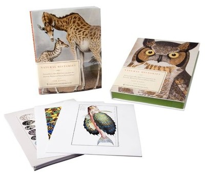 Natural Histories: Extraordinary Rare Book Selections AMNH / book prints case