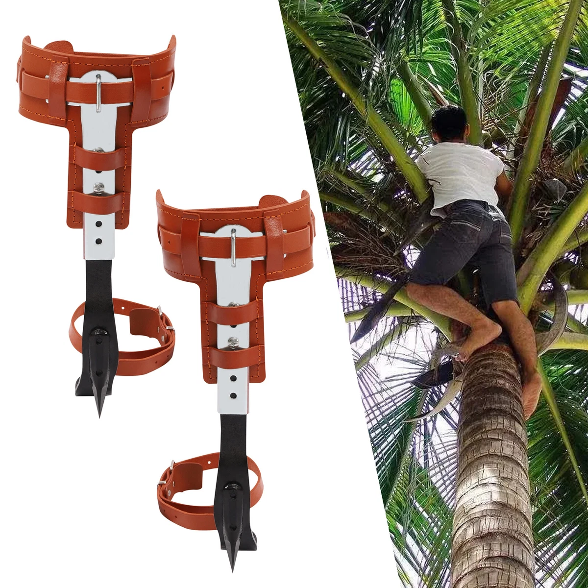 Tree Climbing Spike Set Adjustable Tree Climbing Gear with Straps