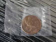 Alcoholics Anonymous Recovery Token,  A Day At A Time