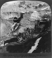 8" x 10" 1906 Photo Starkville, Colorado: Coming out of a soft coal mine.