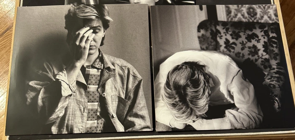 Gone to Earth by David Sylvian (Record, 2019) Reissue Gatefold Double Vinyl LP - Image 4 of 4