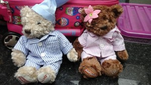 easyjet gulliver teddy bear