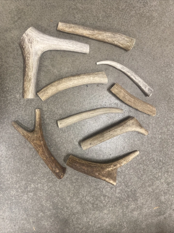 1 libra masticable barato ciervo y alce cuerno perro masticable mezcla-M/L LOTE tenedor a granel grande OFERTA Foto 3 de 4