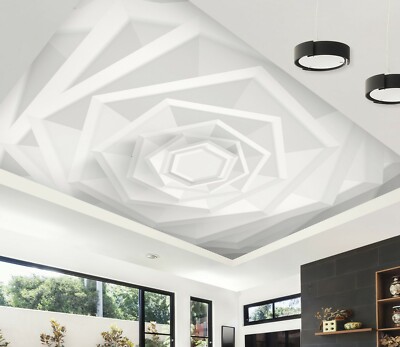 3D Graphics A5498 Ceiling WallPaper Murals Wall Print Decal Deco AJ WALL Fay