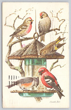 Birds at Feeder "Snack Bar", ART by Gene Klebe, Posted 1978 Postcard