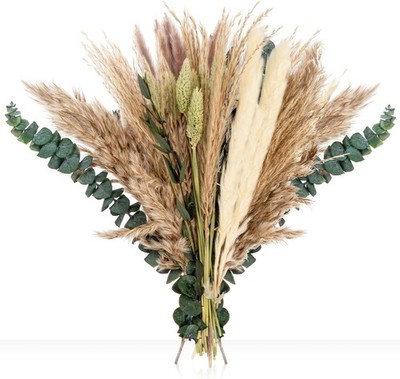 35PCS Dried Pampas Grass Decor - 7 Varieties Small Dried Flower | Dried Pampas