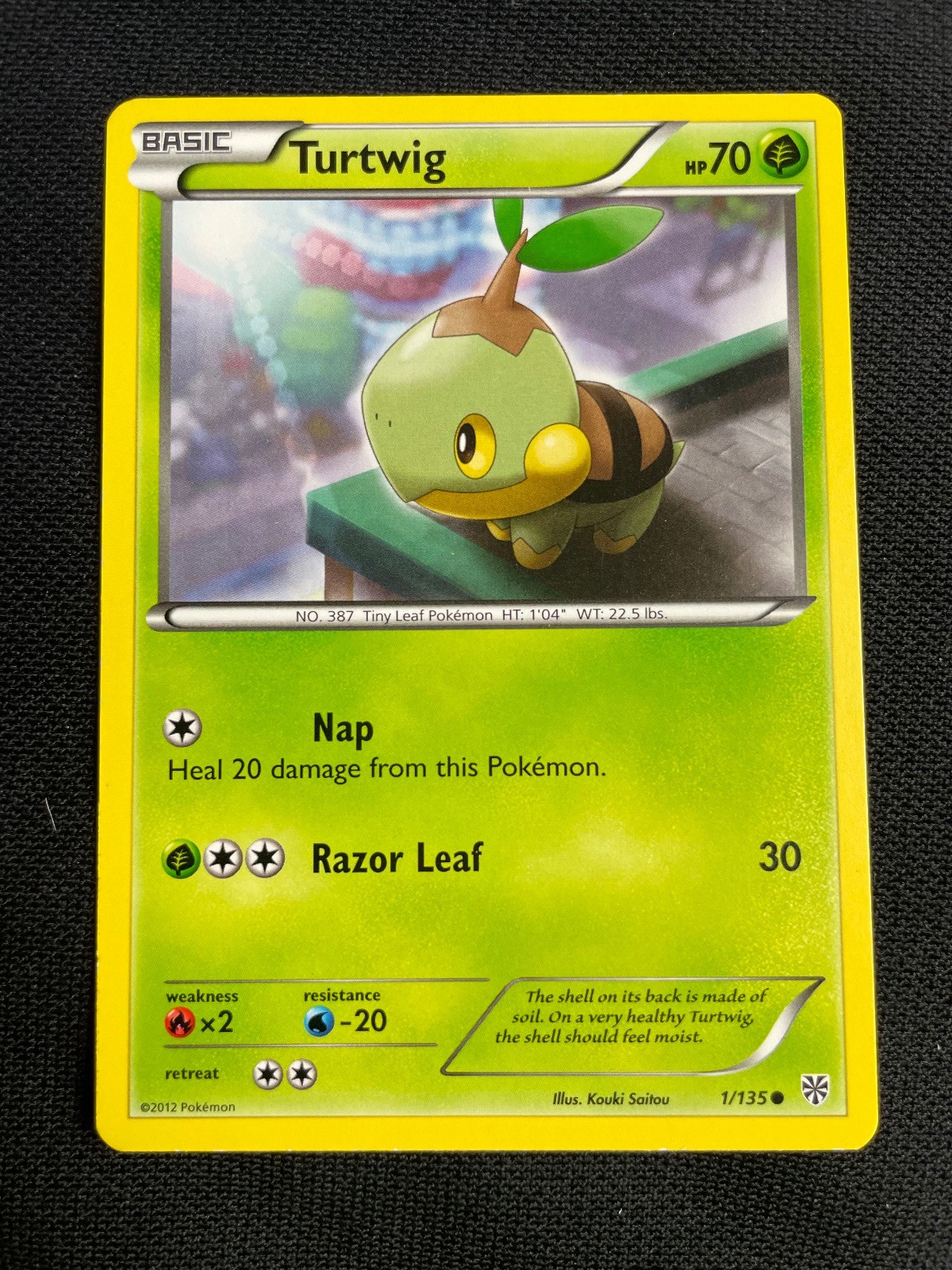 POKEMON TURTWIG Plasma Storm PLS 1/135 COMMON LP
