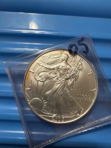 2005 ASE WALKING  LIBERTY SILVER EAGLE -  1 oz - .999 Fine / Uncirculated