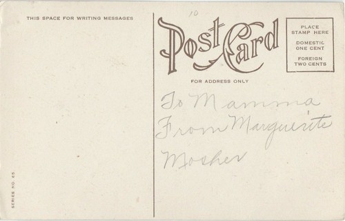 Postcard In Meadow Land New York Rural Countryside Trees Cows Unposted  - Imagen 2 de 2