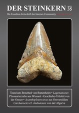 DER STEINKERN 35: Buttenheim - Geschiebe-Trilobit - Pliosaurier - Carcharocles