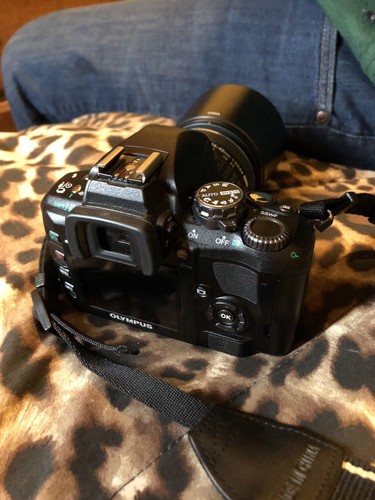 Olympus EVOLT E-410 10.0MP Digital SLR Camera - Black (Kit w/ 14-42mm ...