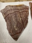 Wonderstone Rhyolite Rough Slabs • Banded WonderStone For Cabbing Jasper — photo 2