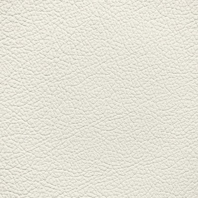 Infiniti Gallery White Leather Dye