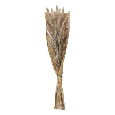 Bouquet de Fleurs "Queue de Lapin" 58cm Beige - Photo 1/2
