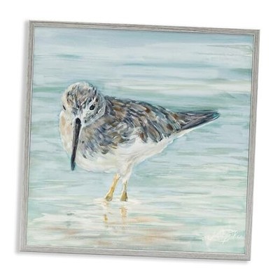  Nautical Sandpiper Shallow Beach Waters Traditional 17L'' x 17W'' Grey Framed