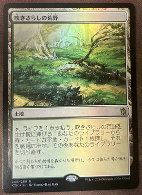 Windswept Heath Japanese Foil Khans of Tarkir MTG Magic