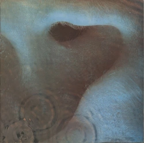 Pink Floyd Meddle Uk Lp for sale | eBay