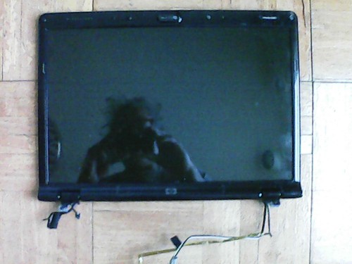 HP Pavilion DV6000 15.4" Complete Full Assembly LCD w/Cables Working