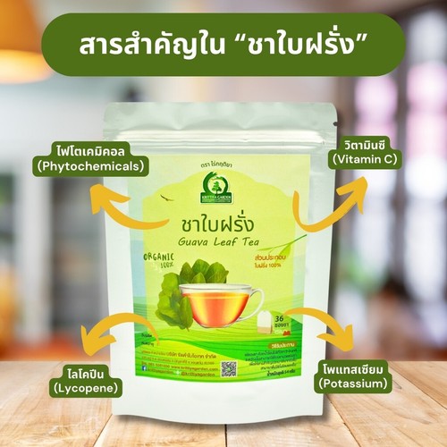 Thai Guava Leaf Tea Organic 100% Mix Original Drink Cup Pot REFRESHING 36bag - 第 3/8 張圖片