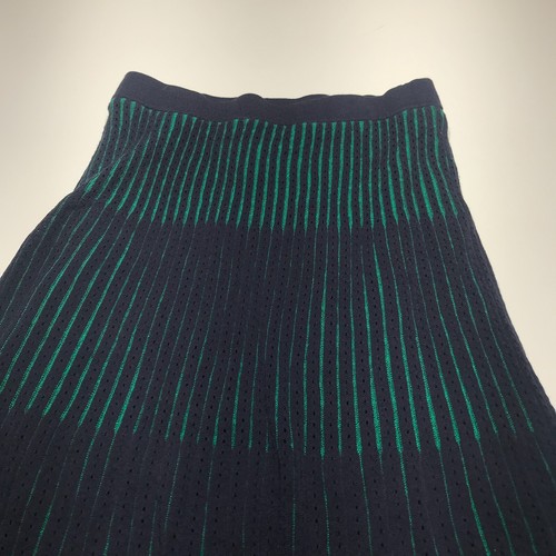Ann Taylor Petite Skirt Womens Sz XSP Black Eyelet w/ Green Stripe A-Line Flare - Picture 3 of 13