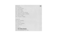 Sylvan Esso: No Rules Sandy (Limited Edition) (Leaf Green Vinyl) - - (Lp / N)