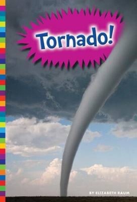 Tornado! (Natural Disasters) by Raum, Elizabeth