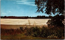 Postcard Tobacco farm Connectiut River Valley shade grown tobacco covered field