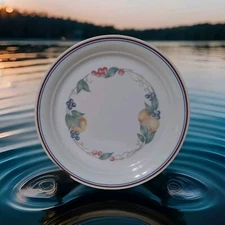 Corelle by CORNING Abundance Dinner Plate 10.5" EUC