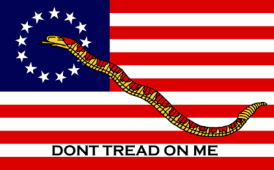Bandiera Americana Betsy Ross 3x5 Piedi 100D | Don't Tread On Me Navy Jack 2nd Amendment | Bandiera USA Per Esterno