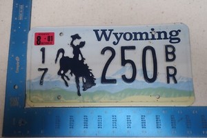 Wyoming License Plate 2001 01 WY Natural Sticker Campbell County 17 250BR
