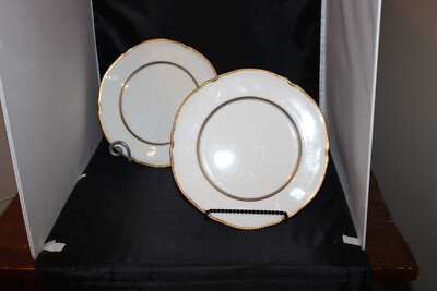 Castleton China, Royal, Lot of 2 Dinner Plates, Pre Owned