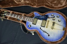 Seventy Seven Guitars STORK-TOCHI HH-SP'23/NJ Weight 3.02kg Electric Guitar