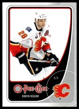 2010-11 O-Pee-Chee #94 Robyn Regehr Calgary Flames Hockey Card