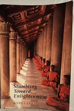 Stumbling Toward Enlightenment - VERY GOOD