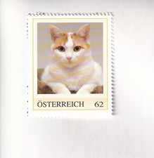 STAMP PM Austria The CAT - House Animal - Cat 5 MNH