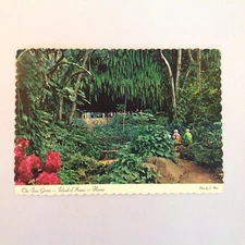 Vintage 1978 Color Postcard The Fern Grotto Island of Kauai Hawaii Wailua River