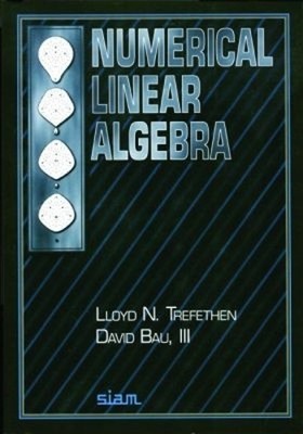 Lloyd N. Trefethen David Bau II Numerical Linear Algebr (Paperback) (UK IMPORT)
